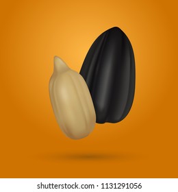 Realistic Sunflower seed and cleared sunflower seed. Realistic illustration of sunflower seeds isolated on yellow background.