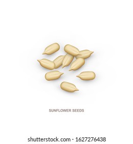 Realistic sunflower seeds for healthy eating. 3d. Vector illustration isolated on white background.