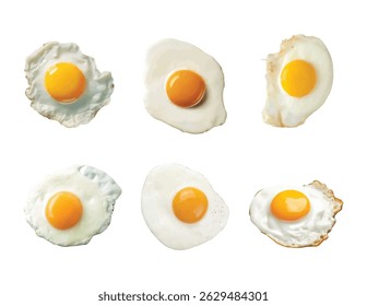 Realista lado ensolarado acima ovos ilustração vetor isolado no branco. Conjunto de lado ensolarado vetor ovos para cima sobre fundo branco
