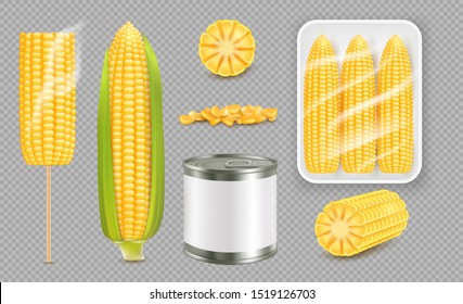 Realistic sweet corn set, vector illustration isolated on transparent background. Ripe corn cobs, grain and canned product package mockup.