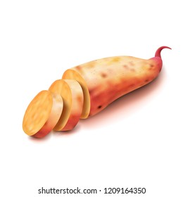 Realistic Sweet Potato On A White Background. EPS10 Vector