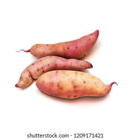 Realistic Sweet Potato Set On A White Background. EPS10 Vector