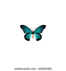 Realistic Tailed-Blue Element. Vector Illustration Of Realistic Pipevine Isolated On Clean Background. Can Be Used As Bluewing, Butterfly And Blue Symbols.