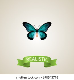 Realistic Tailed-Blue Element. Vector Illustration Of Realistic Pipevine Isolated On Clean Background. Can Be Used As Bluewing, Butterfly And Blue Symbols.