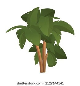 Realistic tall green palm trees isolated on white background - Vector illustration