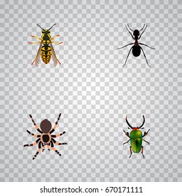 Realistic Tarantula, Bee, Ant And Other Vector Elements. Set Of Insect Realistic Symbols Also Includes Insect, Tarantula, Ant Objects.