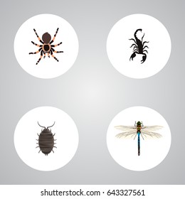 Realistic Tarantula, Dor, Damselfly And Other Vector Elements. Set Of Bug Realistic Symbols Also Includes Beetle, Spider, Poisonous Objects.