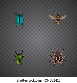 Realistic Tarantula, Insect, Bug And Other Vector Elements. Set Of Animal Realistic Symbols Also Includes Arachnid, Green, Blue Objects.