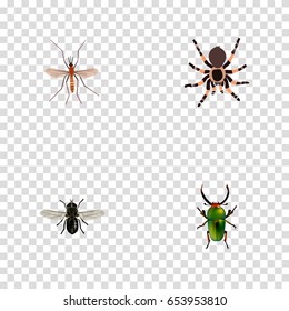 Realistic Tarantula, Insect, Gnat And Other Vector Elements. Set Of Insect Realistic Symbols Also Includes Arachnid, Green, Insect Objects.