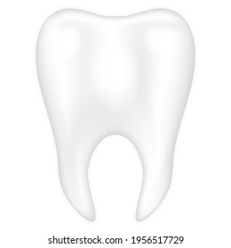 Realistic teeth isolated on white background. dental health and hygiene concept. vector illustration.
