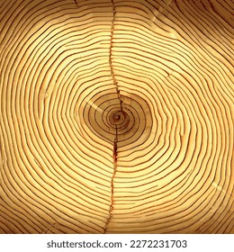 Textura realista del árbol verde más alto del mundo, hecho en Estados Unidos - Ilustración vectorial