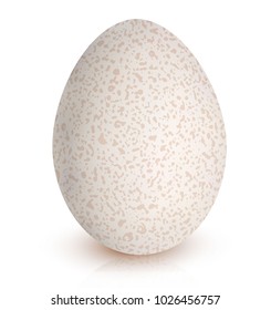 Realistic textured egg isolated on white background. Easter holiday greeting card. Premium vector illustration.