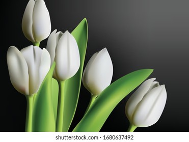 Realistic three dimensional white tulip flowers on black gradient background