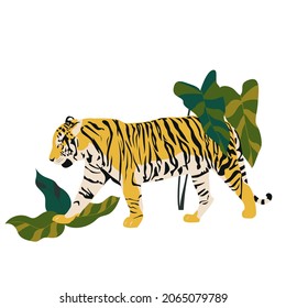 Realistic tiger and cubs in different poses. The tiger stands, lies, goes, hunts. Animals of Asia. Panthera tigris. Big cats. Predatory mammals. Tiger with the exotic palm leaves.