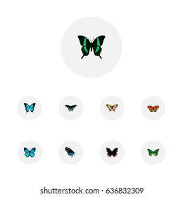 Realistic Tiger Swallowtail, American Painted Lady, Morpho Hecuba And Other Vector Elements. Set Of Beautiful Realistic Symbols Also Includes Butterfly, Green, Bluewing Objects.