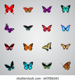 Realistic Tiger Swallowtail, American Painted Lady, Demophoon And Other Vector Elements. Set Of Beautiful Realistic Symbols Also Includes Fly, Sky, Orange Objects.