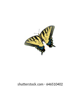 Realistic Tiger Swallowtail Element. Vector Illustration Of Realistic Checkerspot Isolated On Clean Background. Can Be Used As Tiger, Swallowtail And Butterfly Symbols.