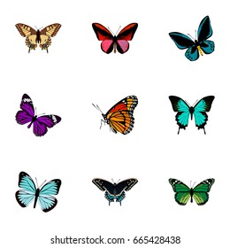 Realistic Tiger Swallowtail, Lexias, Milkweed And Other Vector Elements. Set Of Butterfly Realistic Symbols Also Includes Swallowtail, Butterfly, Tiger Objects.