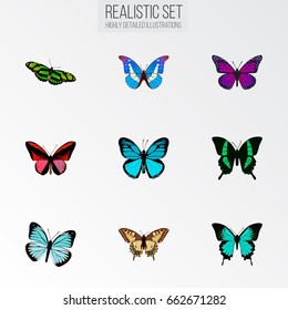 Realistic Tiger Swallowtail, Lexias, Sky Animal And Other Vector Elements. Set Of Moth Realistic Symbols Also Includes Sky, Tiger, Bluewing Objects.