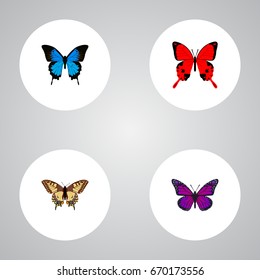 Realistic Tiger Swallowtail, Sangaris, Common Blue And Other Vector Elements. Set Of Moth Realistic Symbols Also Includes Violet, Tiger, Julia Objects.