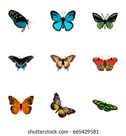 Realistic Tiger Swallowtail, Sky Animal, American Painted Lady And Other Vector Elements. Set Of Moth Realistic Symbols Also Includes Fly, American, Yellow Objects.