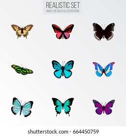 Realistic Tiger Swallowtail, Spicebush, Lexias And Other Vector Elements. Set Of Butterfly Realistic Symbols Also Includes Fly, Swallowtail, Morpho Objects.