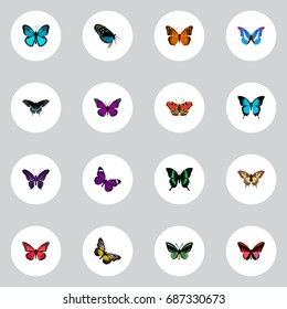 Realistic Tiger Swallowtail, Summer Insect, Azure Peacock And Other Vector Elements. Set Of Moth Realistic Symbols Also Includes Moth, Orange, Brown Objects.