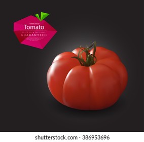 Realistic tomato