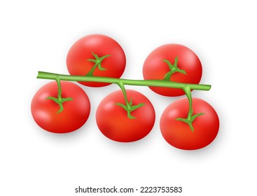 Realistic tomato branch, ripe red cherry tomatoes on green stem isolated on white background. Tasty fresh vegetables for salad and meal cooking. 3d vector illustration