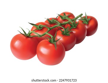 Realistic tomato composition with isolated vegetable image on blank background vector illustration