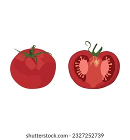 Realistic Tomato Icon Vector Design. 