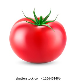 Realistic  tomato. Vector