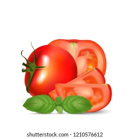 Realistic tomatoes and basil leaves. Good for web and print design. Vector Illustration.