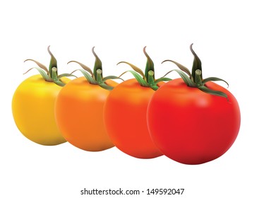 Realistic Tomatoes in editable eps10 format. The objects are in groups and contains mesh.