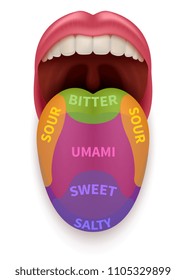 Realistic tongue with basic taste areas. Tasting map in human mouth sweet, salty, sour, bitter and umami vector illustration isolated. Schematic anatomical sense mouth, taste zone chart