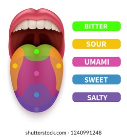 8,038 Tongue anatomy Images, Stock Photos & Vectors | Shutterstock