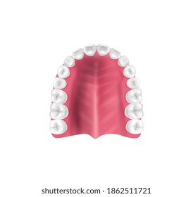 Composición de anatomía dental realista con visión superior de hueso de mandíbula inferior con ilustración vectorial de dientes