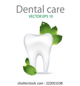 Realistic tooth. Dental care background.Peppermint leafs. 