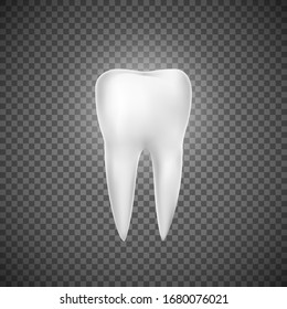 Realistic tooth illustration. Dental care and tooth restoration. Medicine icon. Vector illustration on ransparent background