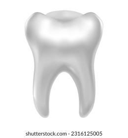 Realistic tooth on a white background. Tooth isolated in realistic style