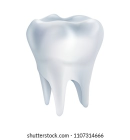 Realistic tooth poster. Illustrations isolated on white background. Graphic concept for your design