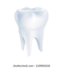 Realistic tooth poster. Illustrations isolated on white background. Graphic concept for your design