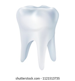 Realistic tooth poster. Illustrations isolated on white background. Graphic concept for your design