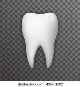 Realistic Tooth Poster Transperent Stomatology Icon 