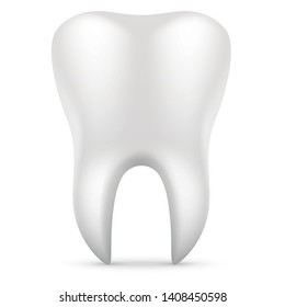 Realistic tooth with root with shadow on white background