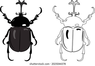 Realistic Top View of Rhino Scarab or Stag Beetle. Isolated on White Background. Insects Bugs Worms Pest and Flies.