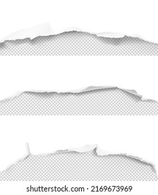 Realistic torn edge of the paper on a transparent background. Vector illustration element ready for your design. EPS10.
