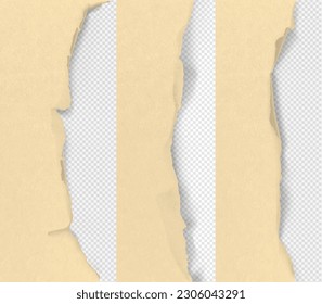 Realistic torn edge of the paper on a transparent background. Vector illustration element ready for your design. EPS10.	