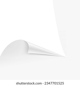 Realistic torn edge of the paper on a white background. Vector illustration element ready for your design. EPS10.	