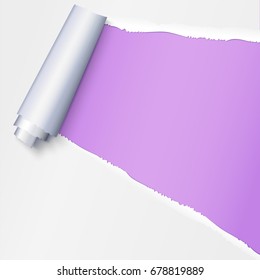 Realistic torn open paper with space for text on purple background, holes in paper. Torn strip of paper with uneven, torn edges. Coiling torn strip of paper